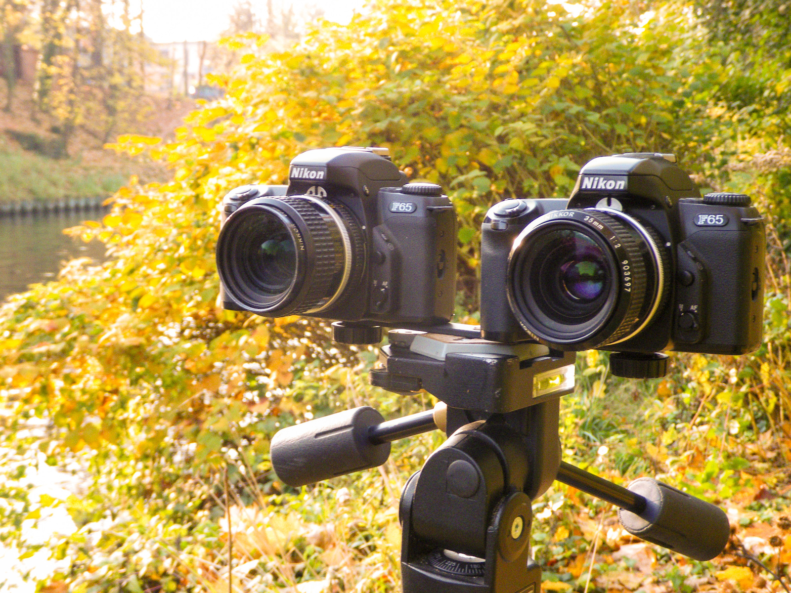 Zwei Nikon F65 als Stereo­kamera-Gespann am Teltowkanal in Berlin-Steglitz; jeweils mit Nikkor 2.0/35mm-Objektiv. (Foto © Martin Frech, 11/2008)