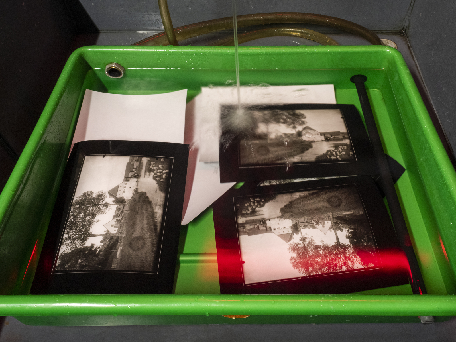 Farbbild (born-digital): Kontaktkopien auf Baryt-Fotopapier werden in einer Kunststoffwanne unter laufendem Wasser gewässert. (Foto: © Martin Frech, 12/2025)