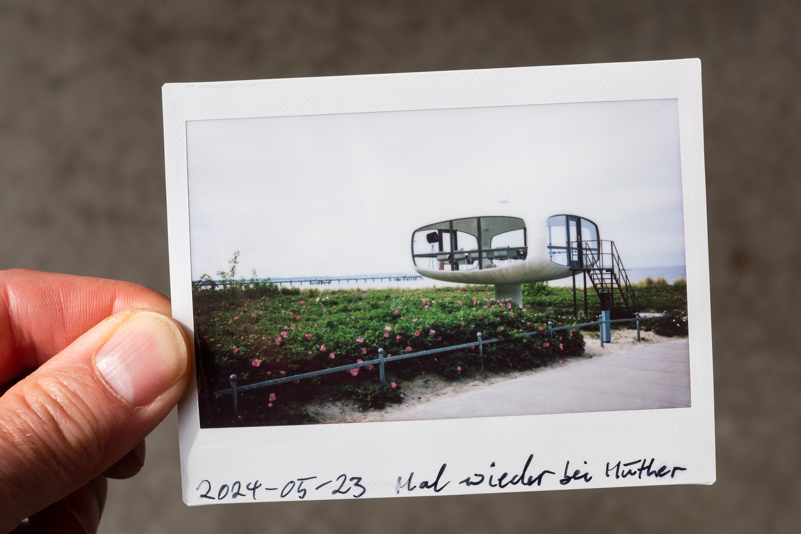 © Martin Frech: Ein Instax-Sofortbild.